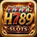 H789 Game