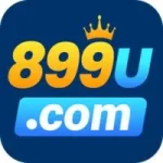 899U Game